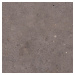 Biophilic dark grey  60x60 8,5MM GRIP