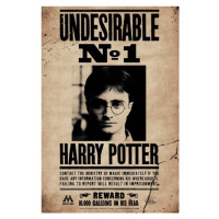 Plakát, Obraz - Harry Potter - Undesirable no.1, (80 x 120 cm)