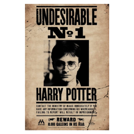 Plakát, Obraz - Harry Potter - Undesirable no.1, 80 × 120 cm