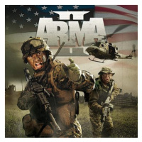 Arma 2 - PC Digital