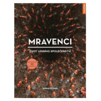 Mravenci - Život lesního společenství