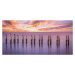 Fotografie Cape Pilings in Purple, Ed Esposito, 40x20 cm