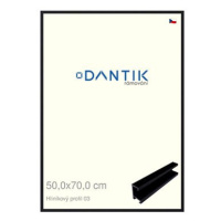 DANTIK rámeček 50 × 70, ALU profil 7003 Černý matný plexi čiré