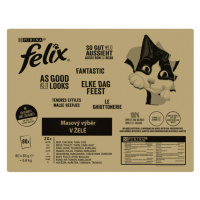 Felix Fantastic mixovaný výběr 80 x 85g
