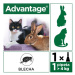 Advantage 80mg velké kočky+králíci spot-on 1x0.8ml