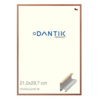 DANTIK rámeček 21 × 29,7, ALU profil 6030 Dýha dub lak matný sklo čiré