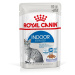 ROYAL CANIN INDOOR Sterilised v želé, kapsičky pro domácí kočky 12 × 85 g