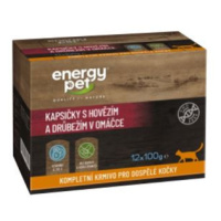 Energy Pet kapsičky s hovězím pro kočky (12x100g) mix