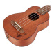 Ortega RU5MM-SO - Sopránové ukulele