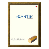 DANTIK rámeček 42 × 59,4, Forgia Gold plexi čiré