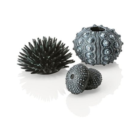 biOrb sea urchins set černá