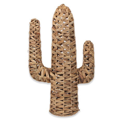 Signes Grimalt Kaktusová Dekorace Hnědá