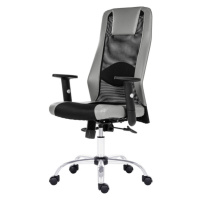 Kancelářská židle HARDING černá/šedá