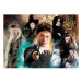 Puzzle Harry Potter, 500 dílků