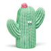 Kaktus obličej