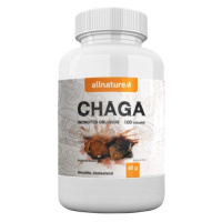 Allnature Chaga rezavec šikmý cps.100