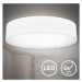 B.K. Licht B.K. Licht 1394 - LED Stropní svítidlo LED/20W/230V bílá