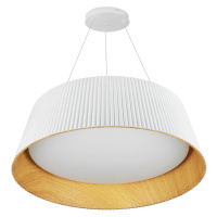 CDL-461-BÍLÁ | Moderní LED závěsné svítidlo | Lustr s 1 světelným bodem