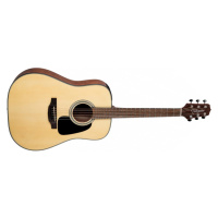 Takamine GLD12E - Natural Satin