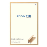 DANTIK rámeček 20 × 30, ALU profil 6001 Zlatý lesklý sklo čiré