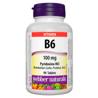 WEBBER NATURALS B6 100 mg 90 tablet