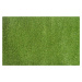 Lano - koberce a trávy AKCE: 160x300 cm Umělá tráva Rosemary metrážní - Rozměr na míru cm