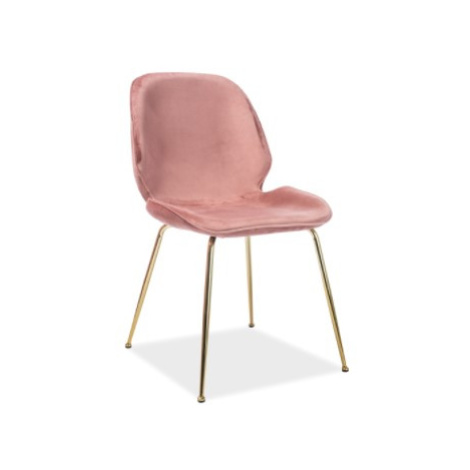 Signal Židle ADRIEN Velvet | zlaté nohy Barva: Bluvel 52 / růžová