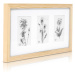 Casa Chic Moorgate, obdélníkový obrazový rám, 1 rám na 3 obrázky, 15 x 10 cm, pasparta, dřevo