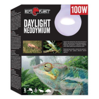 Žárovka Repti Planet Daylight Neodymium 100W