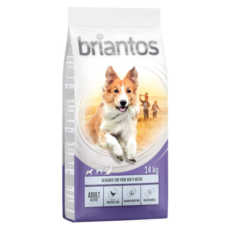 Briantos granule, 12 / 14 kg - 10 % sleva - Adult Active (14 kg)