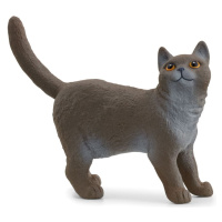 Schleich 13973 zvířátko britská krátkosrstá kočka