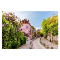 Fotografie Street in Montmartre with blooming wisteria, Alexander Spatari, 40 × 26.7 cm