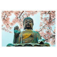 Fotografie Buddha statue with cherry blossom in, Sanga Park, 40x26.7 cm