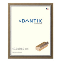 DANTIK rámeček 40 × 50, TAIGA béžový plexi čiré