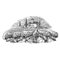 Ilustrace Rural landscape with villa, vineyard fields, DenPotisev, (40 x 22.5 cm)