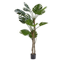 Umělá rostlina EVERGREEN, monstera, umělá, 1800 mm, 1 ks