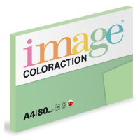 Coloraction A4 80 g 100 ks - Jungle/pastelově sv.zelená