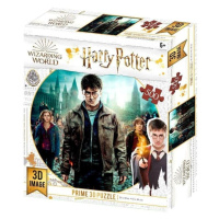 Harry Potter 3D puzzle - Harry, Hermiona, Ron 500 dílků - Babu