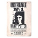 Harry Potter: Undesirable No