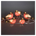 Konstsmide Christmas Robin - LED akrylové svítící figurky 5 kusů