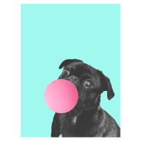 Ilustrace Bubblegum dog, Finlay & Noa, (30 x 40 cm)