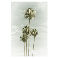 Fotografie Vintage Palm Trees Skyhigh, Melanie Viola, (26.7 x 40 cm)