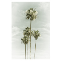 Fotografie Vintage Palm Trees Skyhigh, Melanie Viola, 26.7 × 40 cm