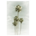 Fotografie Vintage Palm Trees Skyhigh, Melanie Viola, 26.7x40 cm