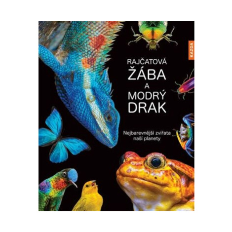 Rajčatová žába a modrý drak - Andrea Köhrsenová