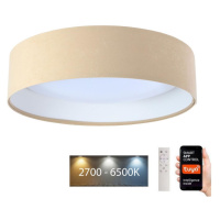 LED Stropní svítidlo SMART GALAXY LED/24W/230V Wi-Fi Tuya béžová/bílá + DO