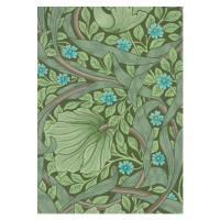 Obrazová reprodukce Wallpaper Sample with Forget-Me-Nots, c.1870, Morris, William, 30x40 cm