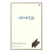 DANTIK rámeček 20 × 30, ALU profil 6030 champagne sklo čiré