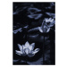 Fotografie Midsummer lotus, Sunao Isotani, 26.7x40 cm