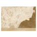 Mapa Sepia vintage map of Santa Cruz de Tenerife, Blursbyai, 40 × 30 cm